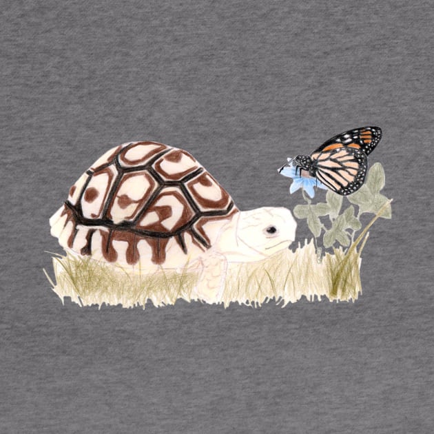 Tortoise and Butterfly by lindaursin